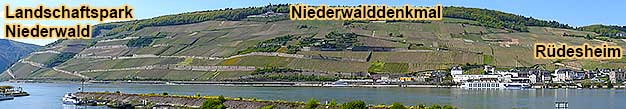 Groe Rdesheim-Weinwanderung ca. 4 km durch den Landschaftspark Niederwald entlang dem Rheinsteig zum Niederwaldenkmal und zum Feldtor am Bahnhof Rdesheim am Rhein