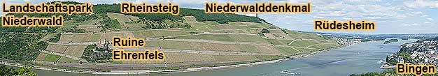 Groe Rdesheim-Weinwanderung ca. 4 km durch den Landschaftspark Niederwald entlang dem Rheinsteig zum Niederwaldenkmal und zum Feldtor am Bahnhof Rdesheim am Rhein