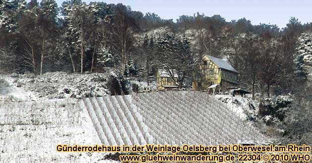 Gnderodehaus auf der Rheinhhe in der Weinlage Oelsberg am Sieben-Jungfrauen-Blick bei Oberwesel am Rhein