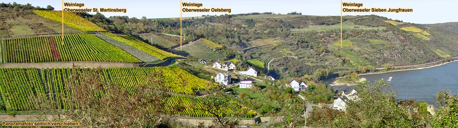 Oberweseler Weinlagen: St. Martinsberg, Oelsberg und Sieben Jungfrauen. Oberwesel am Mittelrhein.