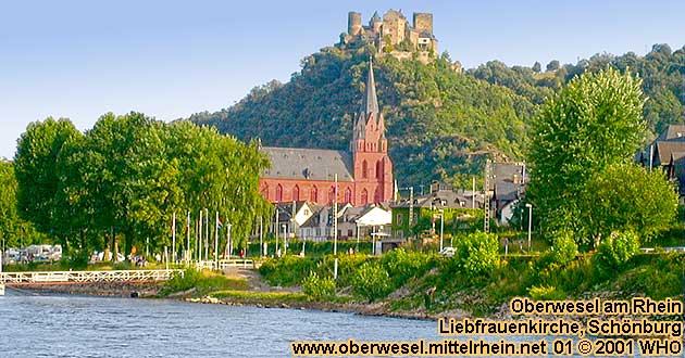 Goldener Weinherbst am Mittelrhein an der Schnburg bei Oberwesel am Rhein