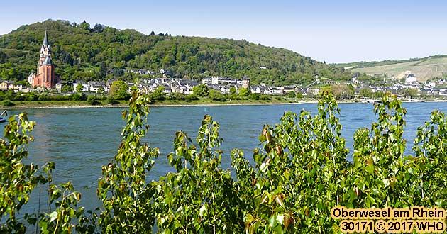 Oberwesel am Rhein, Blick von der rechten Rheinseite (links die Liebfrauenkirche).