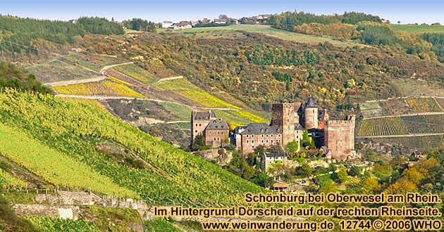 Schnburg bei Oberwesel am Rhein. Im Hintergrund Drscheid auf der rechten Rheinseite.