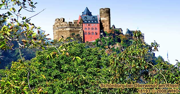 Schnburg bei Oberwesel am Rhein