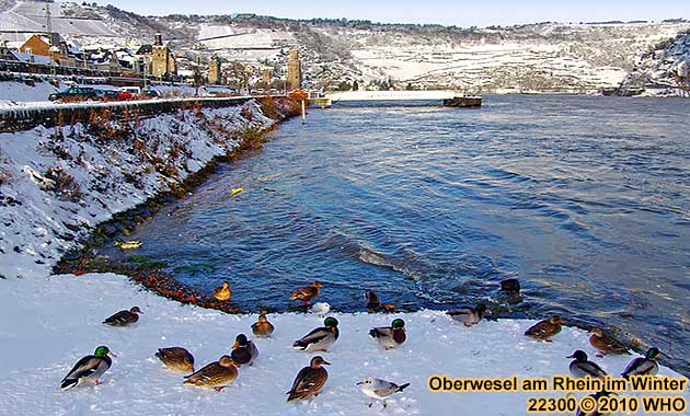 Oberwesel am Rhein im Winter